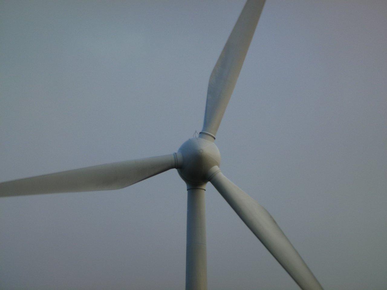 Erneuerbare Energien sorgen in ganz Deutschland für Beschäftigung