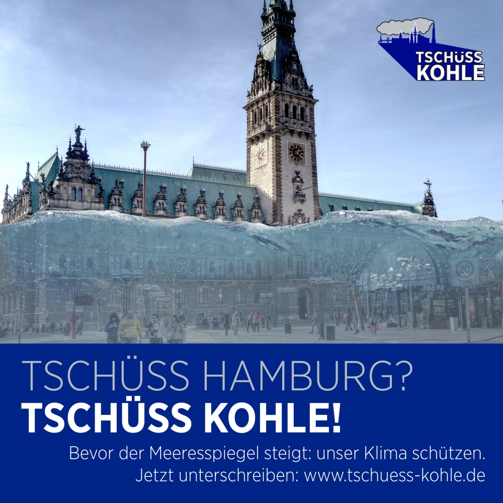 Volksinitiative Tschüss Kohle: Politik, Hamburger Klimaschutz und eine Berliner Kohlekommission